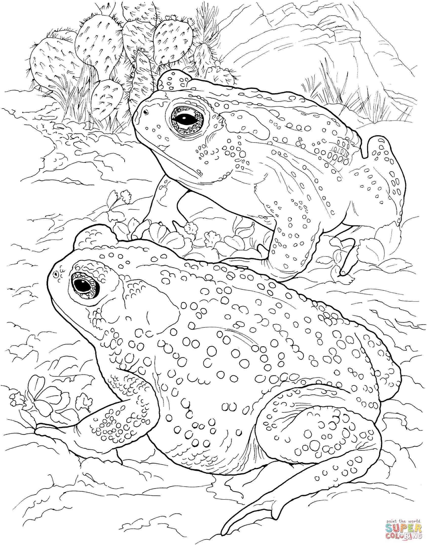 1685x2154 Pages Fresh Caravan Clipart Rhlancetcardcom Cute Desert Animals