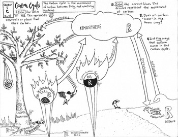 350x270 Carbon Cycle Coloring Sheet By Scientifically Speaking Is My Favorite