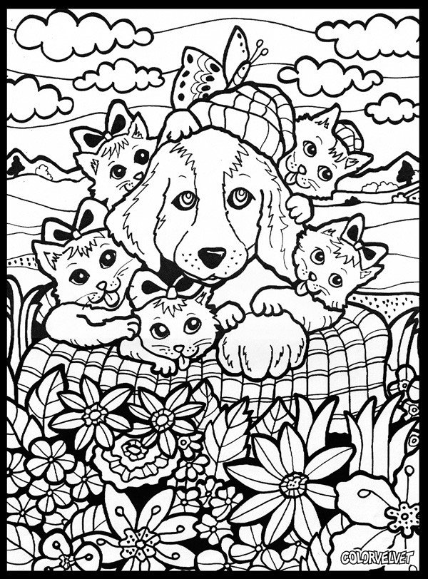 600x812 Colour In Velvet Cardboard Drawing, Felt Pens Included, Dog