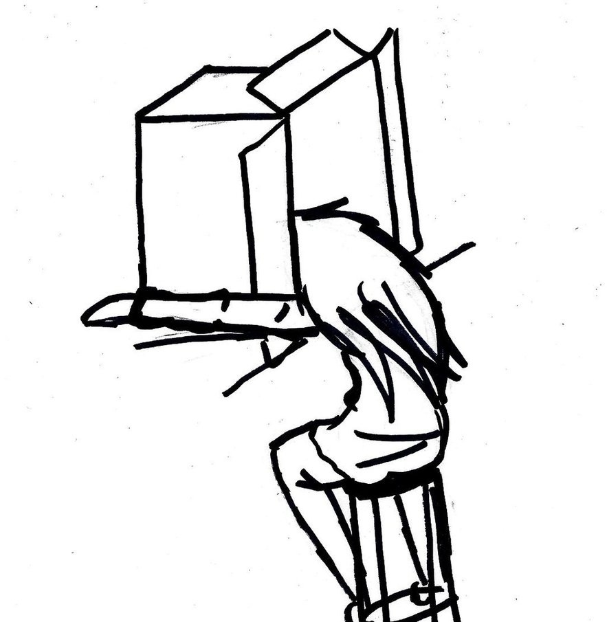 883x905 Cardboard Box By Callua Chan