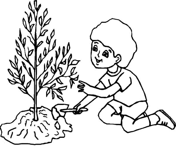 600x498 Boy Caring For Tree On Arbor Day Coloring Pages Best Place To Color