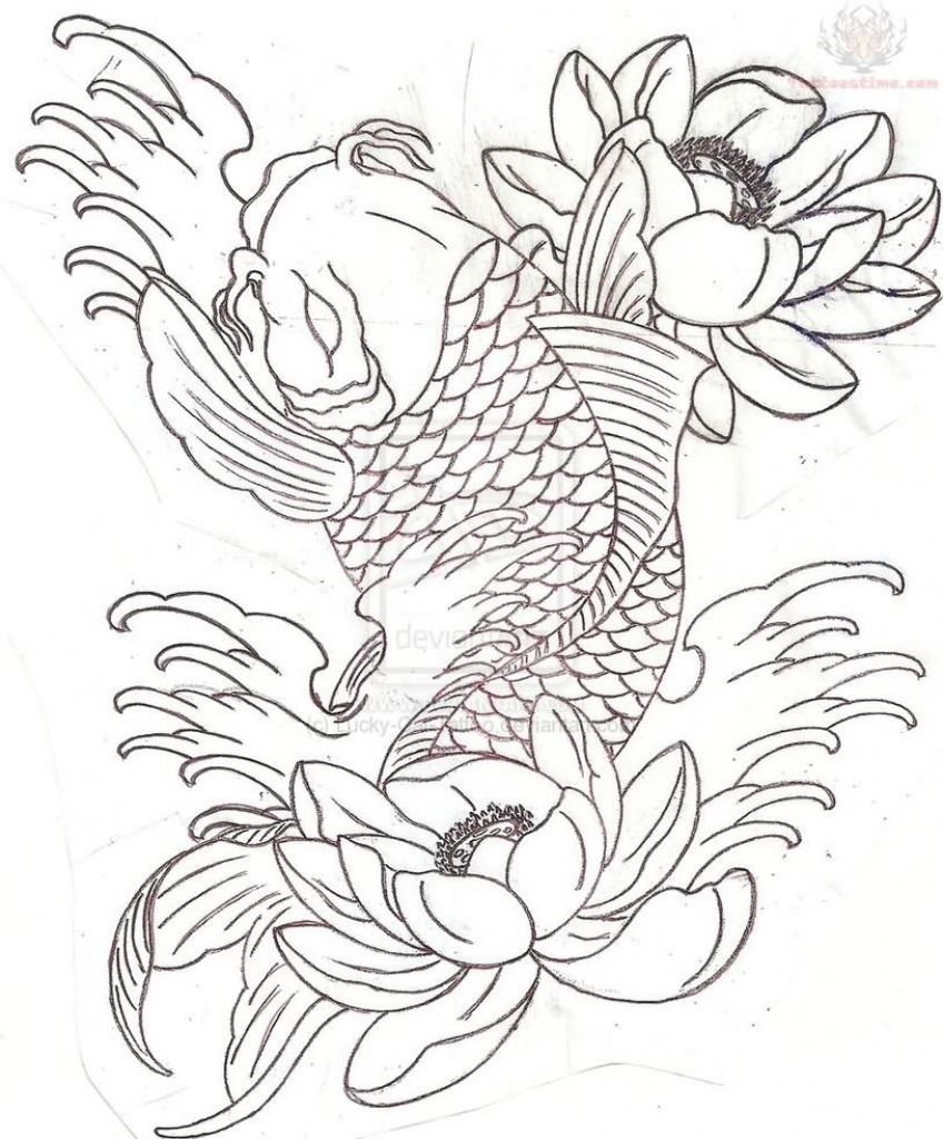 848x1024 Drawn Koi Carp Coil