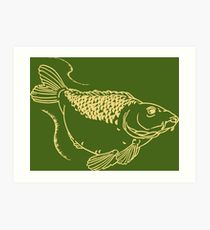 210x230 Common Carp Drawing Art Prints Redbubble