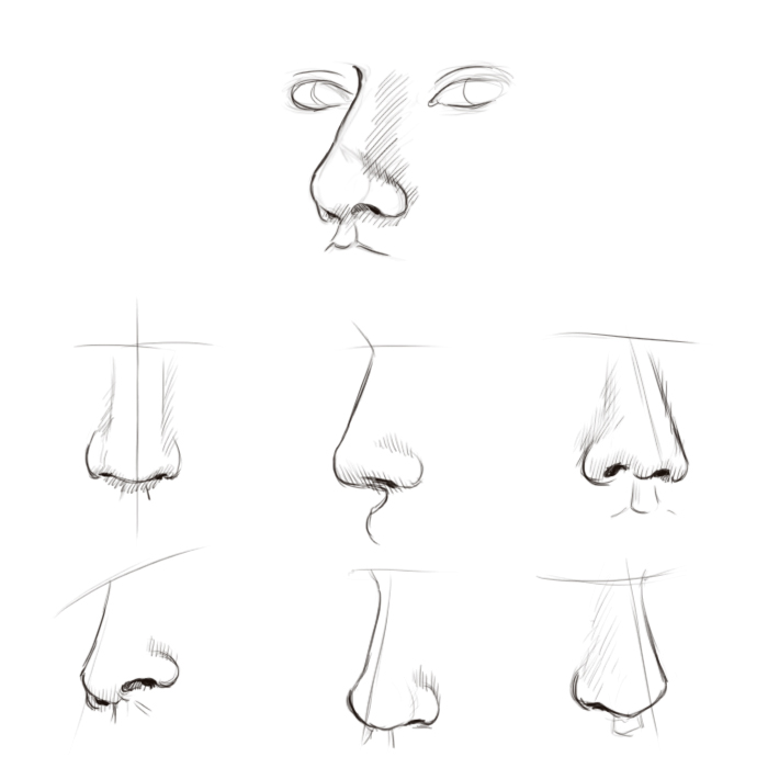 700x700 Drawing Nose