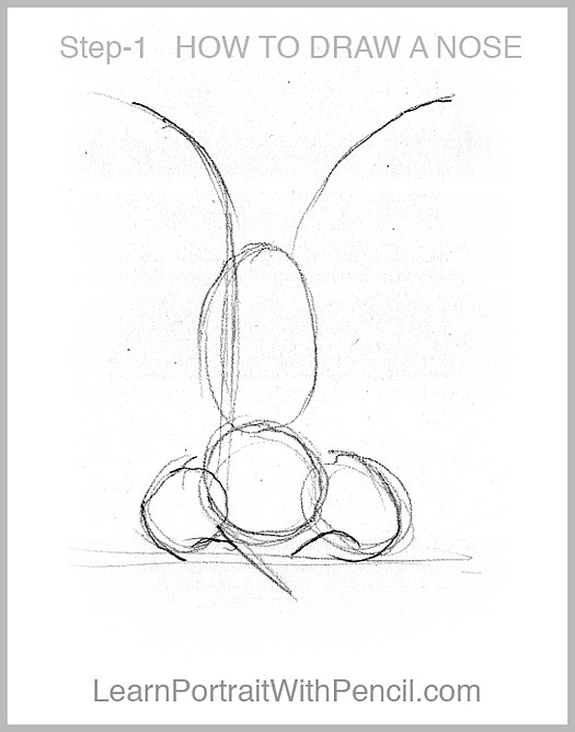 525x668 Tutorial On How To Draw Noses