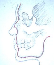 229x274 Drawing The Nose. Crafts And Diy Tutorials Drawing