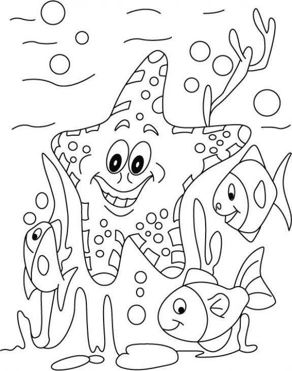 575x730 Cartoon Starfish Along With Other Fish Coloring Page Animal