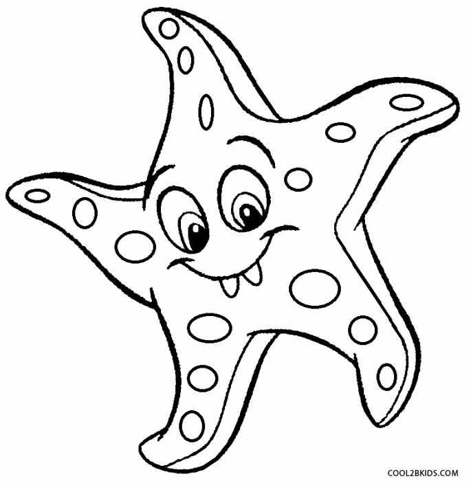 685x703 Cartoon Starfish Drawing Cartoonview.co