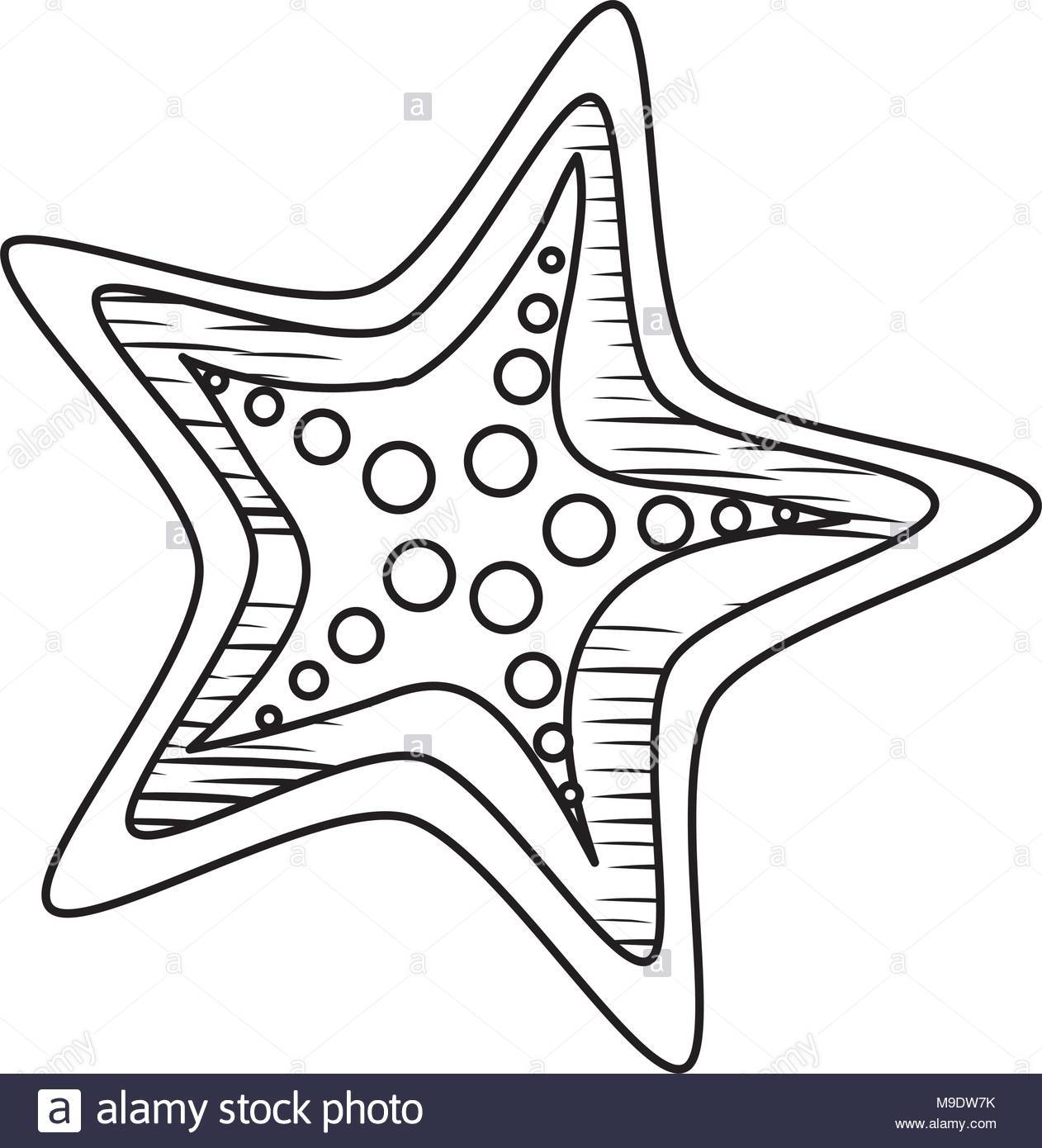 1262x1390 Cartoon Starfish Sketch Cartoonview.co
