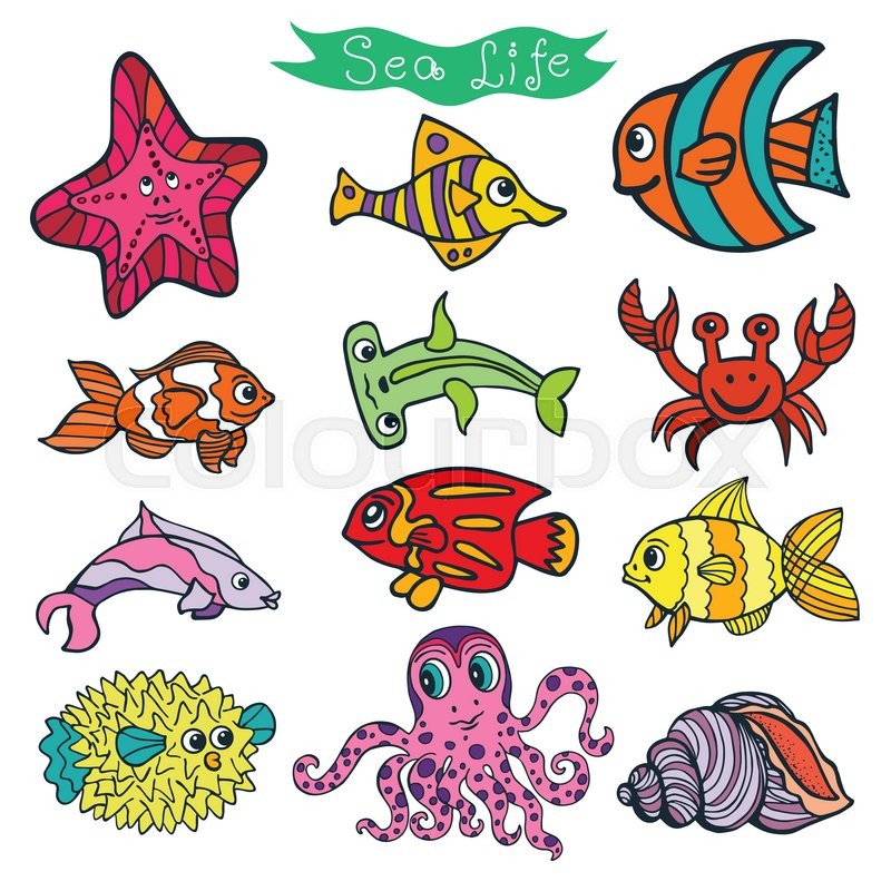800x800 Sea Life Animals Set.fish, Octopus, Crab And Starfish. Funny