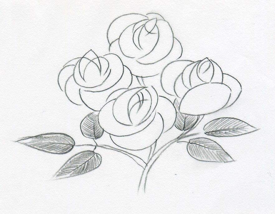 882x688 Easy Sketchbook Drawings On The Following Sketch, The Petals Are