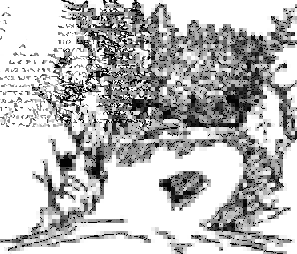 596x511 Waterfall, Cascade, Landscapes, Nature, Stream, Watercourse, River