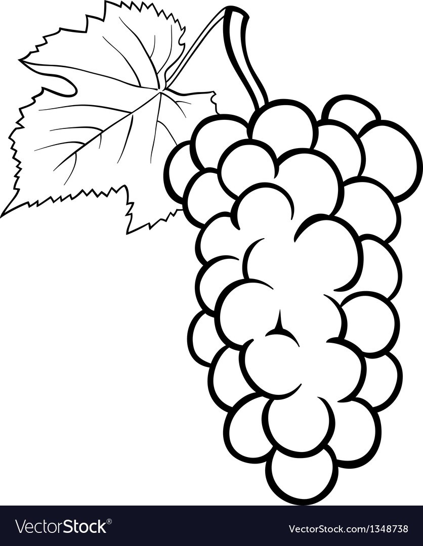 836x1080 Grape Leaves Casserole Voterapp.us