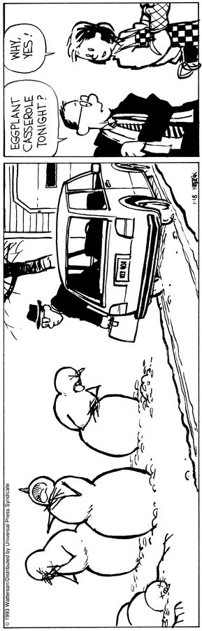 289x900 Calvin And Hobbes (Da)