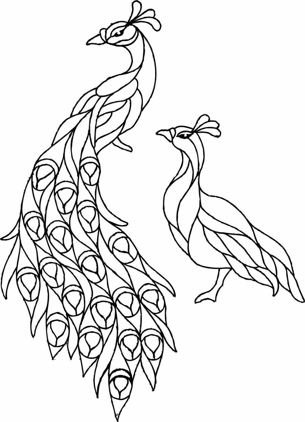 1000x1380 Drawing Stained Glass Custom Designs Cathedral Stained Glass