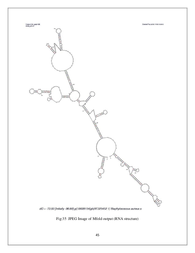 638x826 Bioinformatics Resources And Search Tools