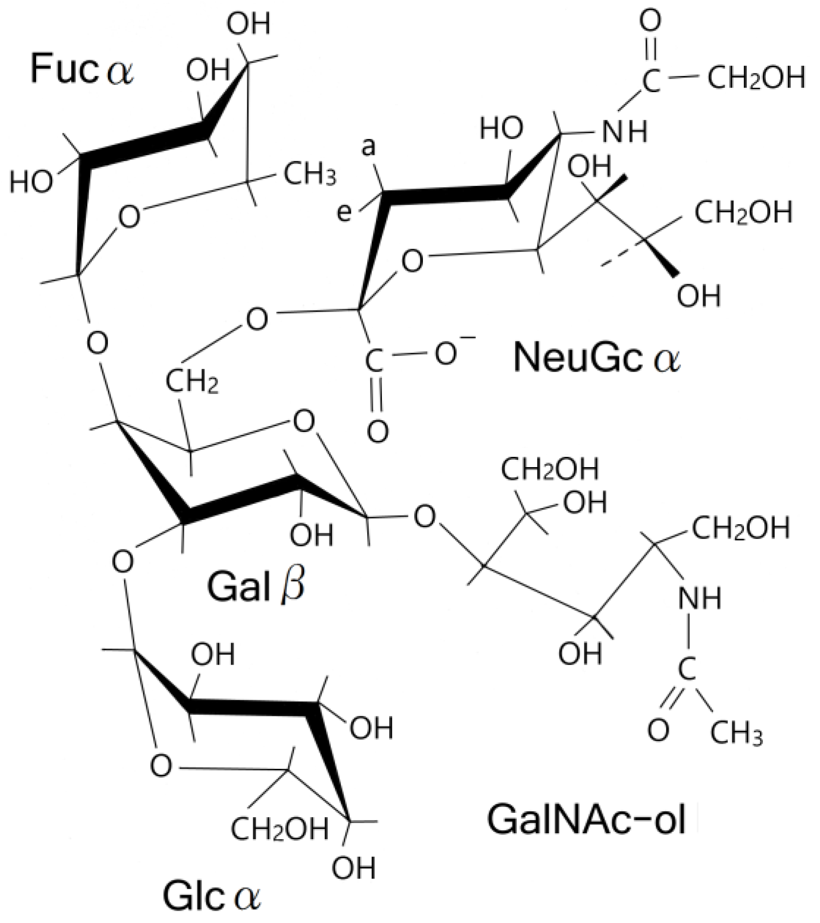 1681x1893 Membranes Free Full Text Structure Of A Sialo Oligosaccharide