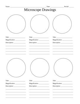 270x350 Use This Blank Handout As A Way For Students To Record Microscope