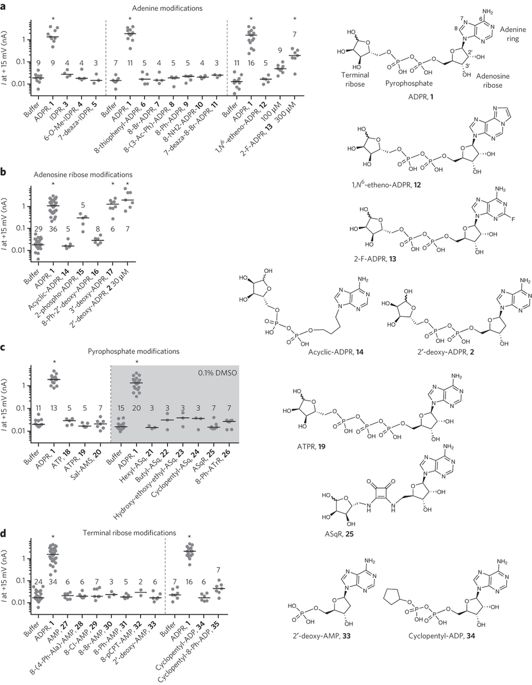 532x685 Deoxyadenosine Diphosphoribose Is An Endogenous Trpm2