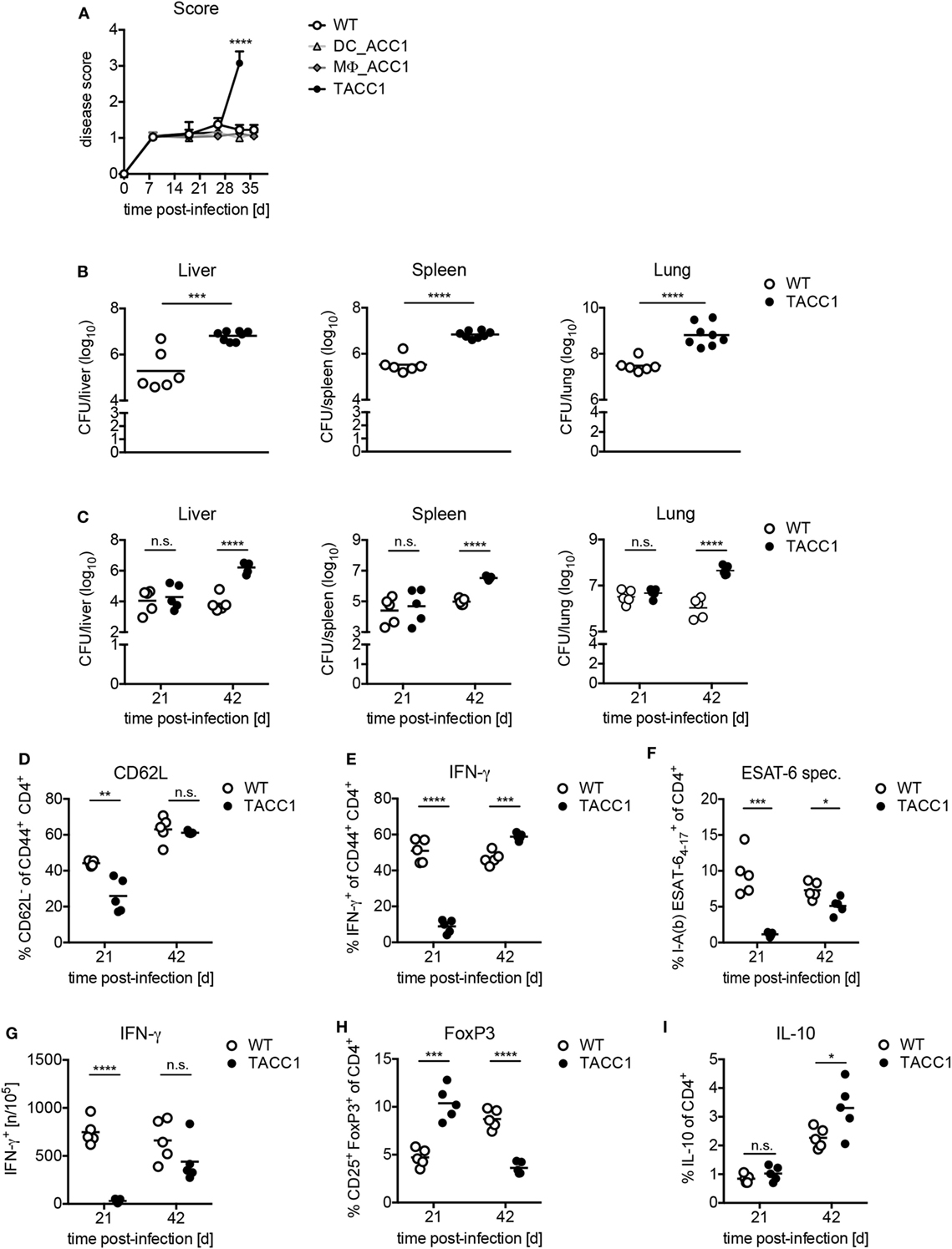1139x1495 Frontiers De Novo Fatty Acid Synthesis During Mycobacterial