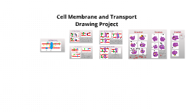 269x160 Cell Membrane And Transport Drawing Project By Ramez Wakileh On Prezi