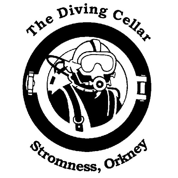 583x582 The Diving Cellar (@divingcellar) Twitter