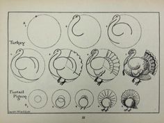 236x177 Chalk Board Thanksgiving. Drawing A Turkey Chalkboard