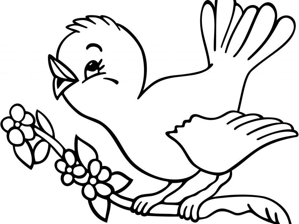 1024x768 Last Minute Bird Coloring Pages For Preschoolers Chance Sheets