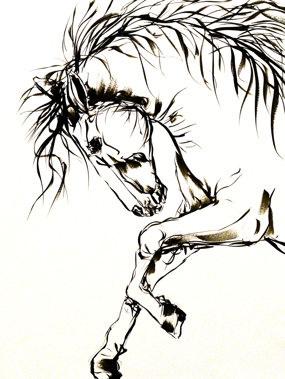 1000x1327 Chance Robinson Fine Artsketches