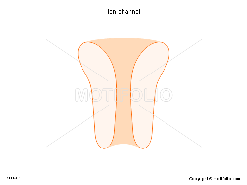 500x375 Ion Channel Illustrations