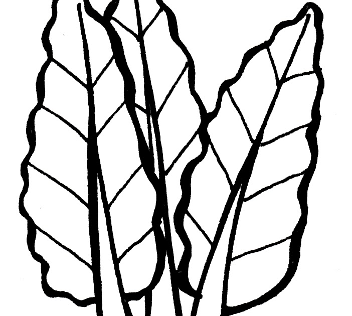 702x630 Lisa Orgler Design Vegetables