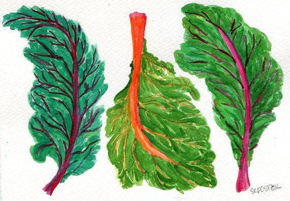 570x395 Swiss Chard Original Watercolor Painting, Vegetable Paintind, Red