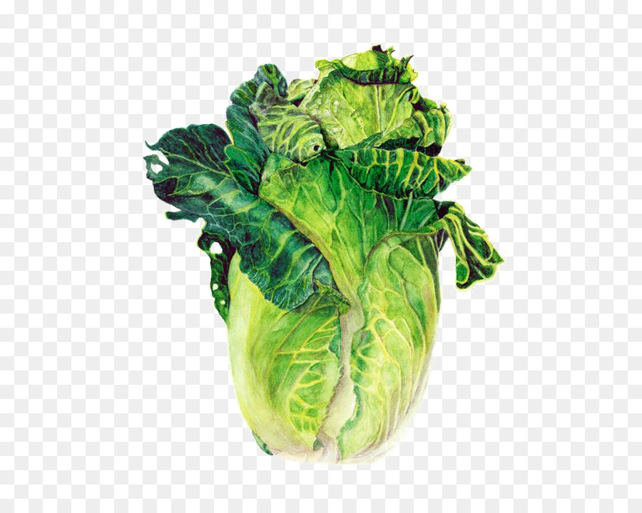 900x720 Watercolor Painting Vegetable Drawing Farmers Market