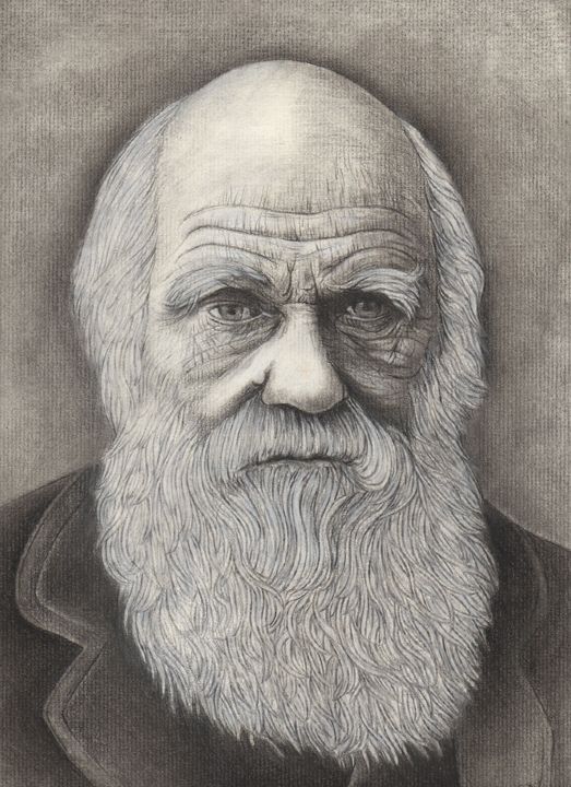 523x720 Charles Darwin