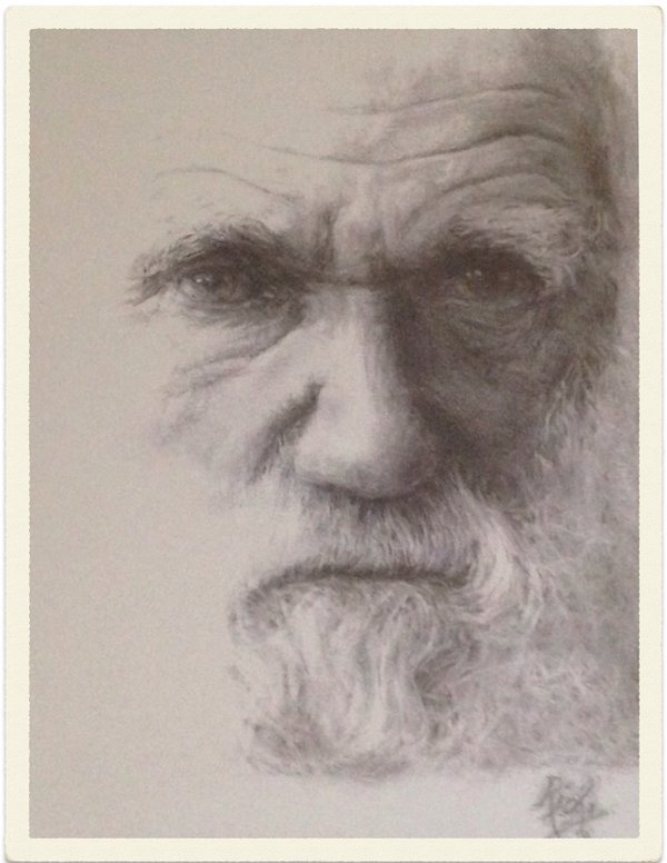 600x776 Charles Darwin [Shot Of Copy Of My Drawing] By Artbyrichy