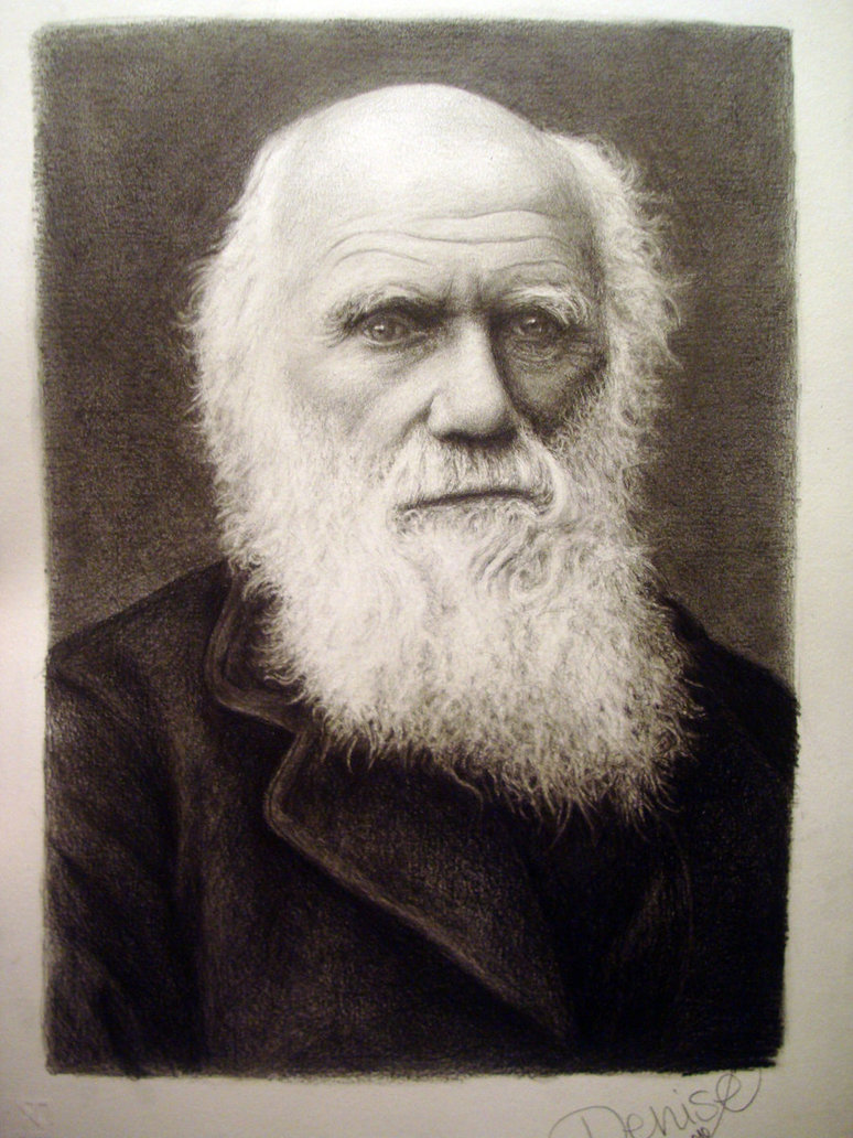 774x1032 Charles Darwin By Deniseesposito