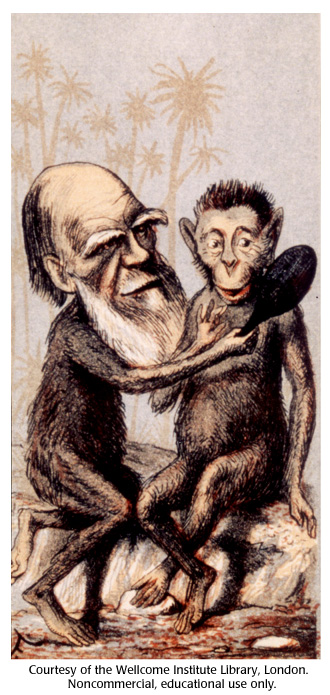 330x695 Gallery 12 Charles Darwin Caricature Dna Learning Center
