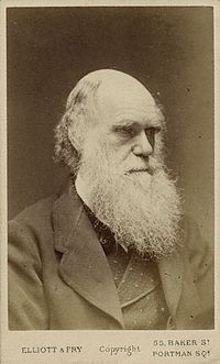 200x331 Portraits Of Charles Darwin