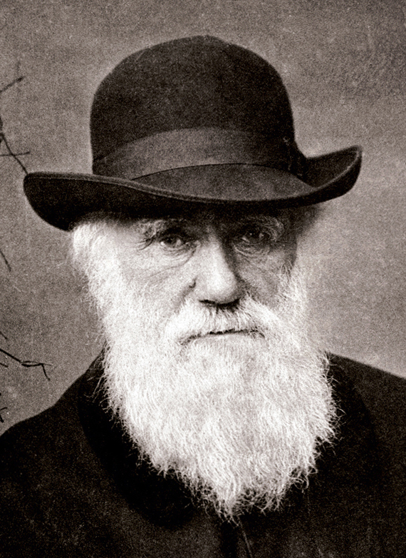 570x782 Religious Views Of Charles Darwin