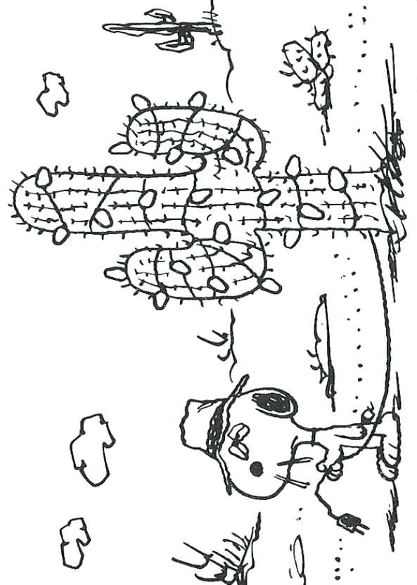 593x832 Charlie Brown Christmas Tree Coloring Pages Kids N Of Cactus
