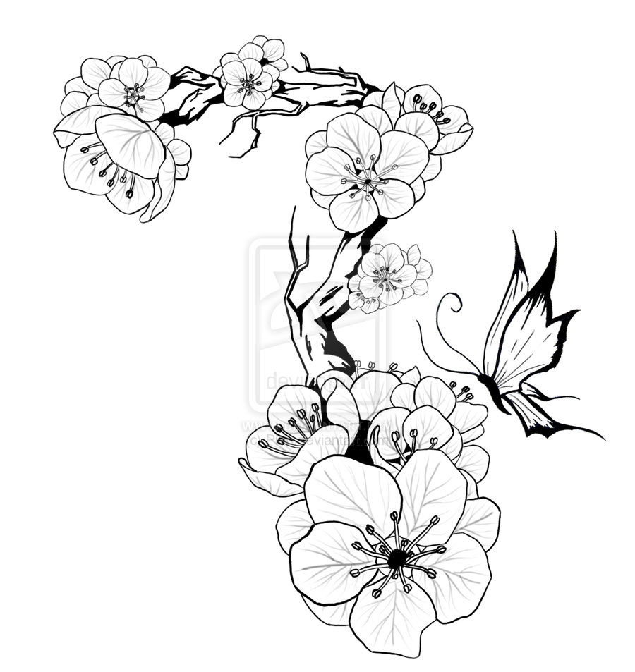 900x953 Drawn Ume Blossom Outline