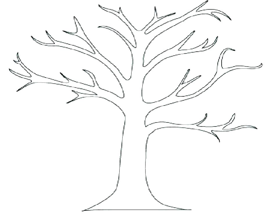 940x765 Outline Tree Image Result For Simple Tree Line Drawing Tree Trunk