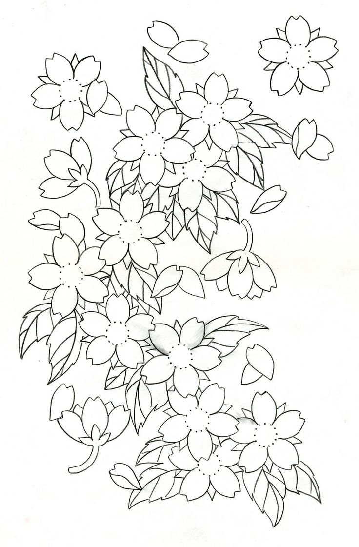 736x1121 42 Best Cherry Blossom Tattoo Flower Outlines Images