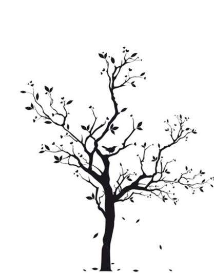 417x532 Google Image Result