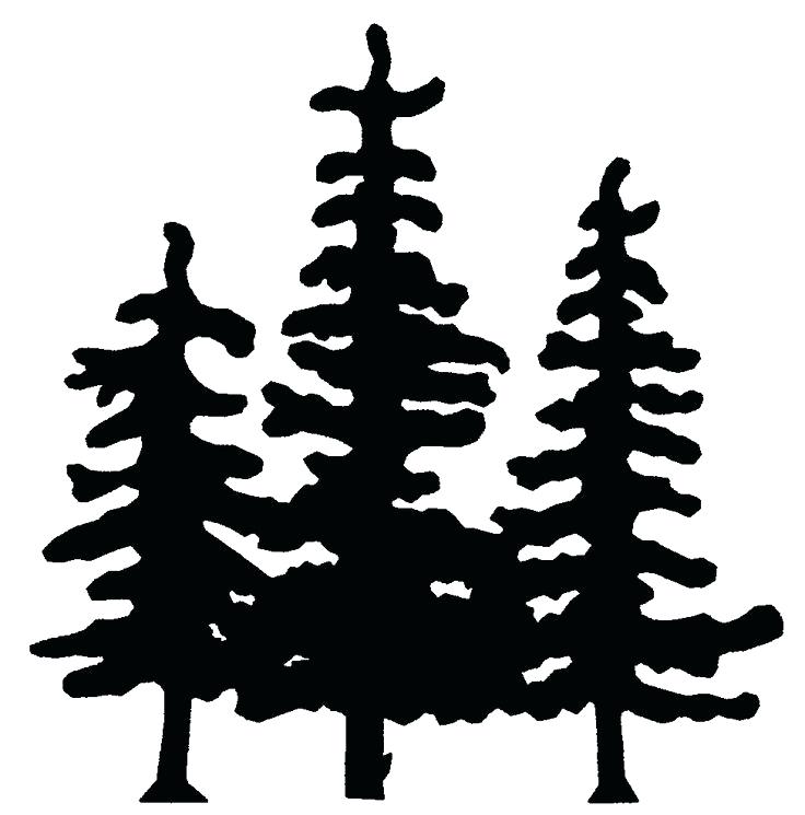 736x745 Pine Tree Drawings How To Draw A Tree Pine Tree Drawings Easy