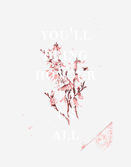 268x340 The Lazy Ninja