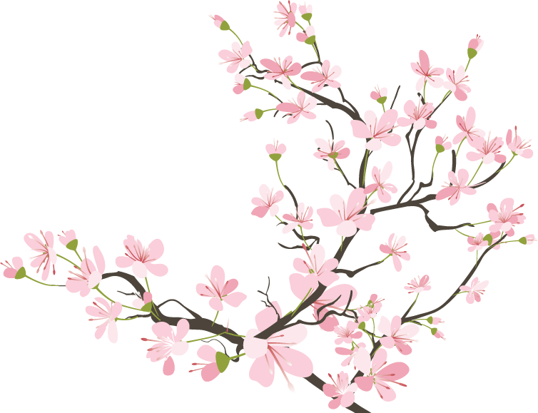 754x579 Flowers Cherryblossom Sakura Kawaii Tumblr Ftestickers