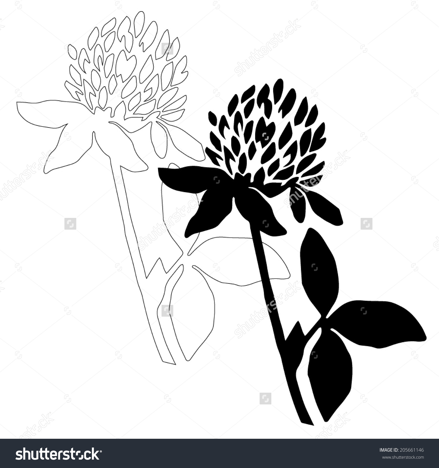 1500x1600 Black And White Flower Drawings. Beautiful Flowers Pic For Drawing
