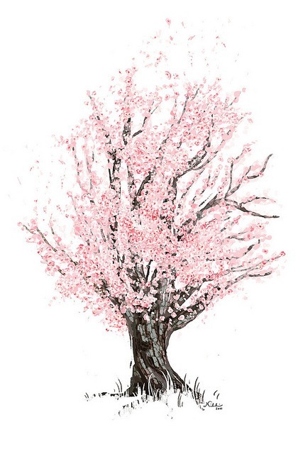 427x640 Cherry Blossom Tree Via Tumblr On We Heart It