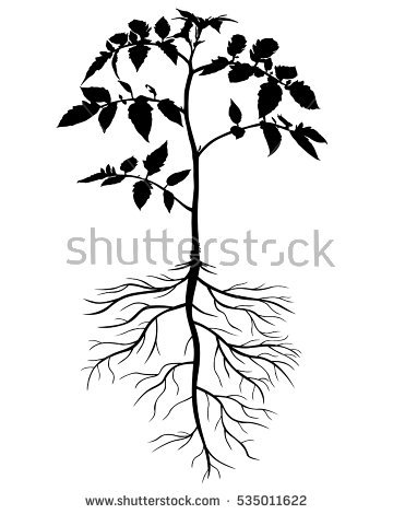 360x470 Drawn Plant Flowering Tree